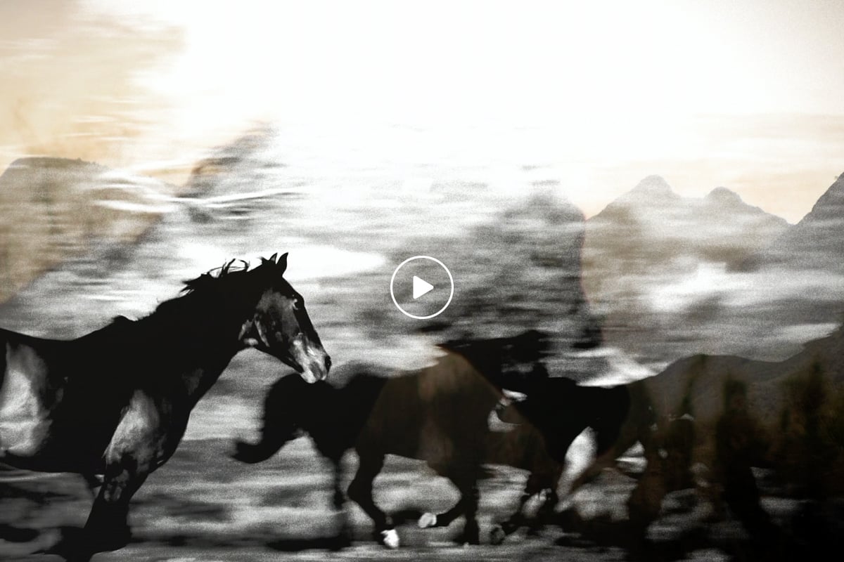 Texas Tourism Travel Marketing Case Study Cowboy Experience