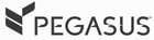 Pegasus Logo