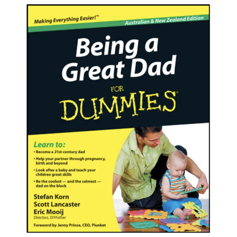 Dummy Dad book 2