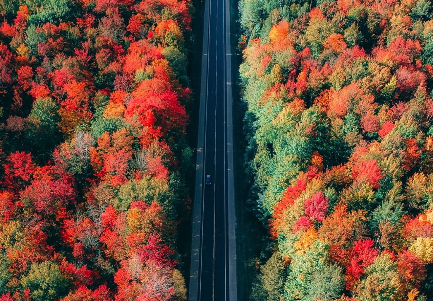 Fall_Travel