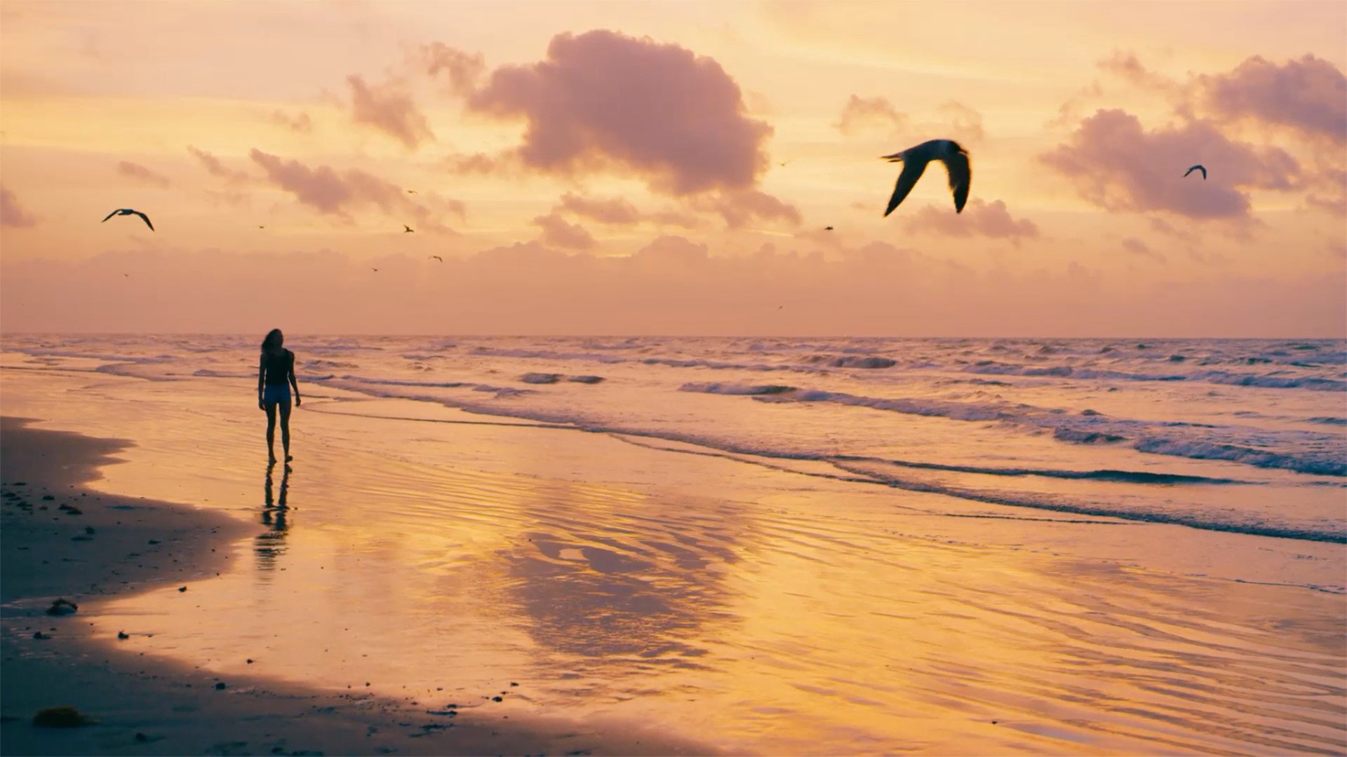 Port Aransas were_back