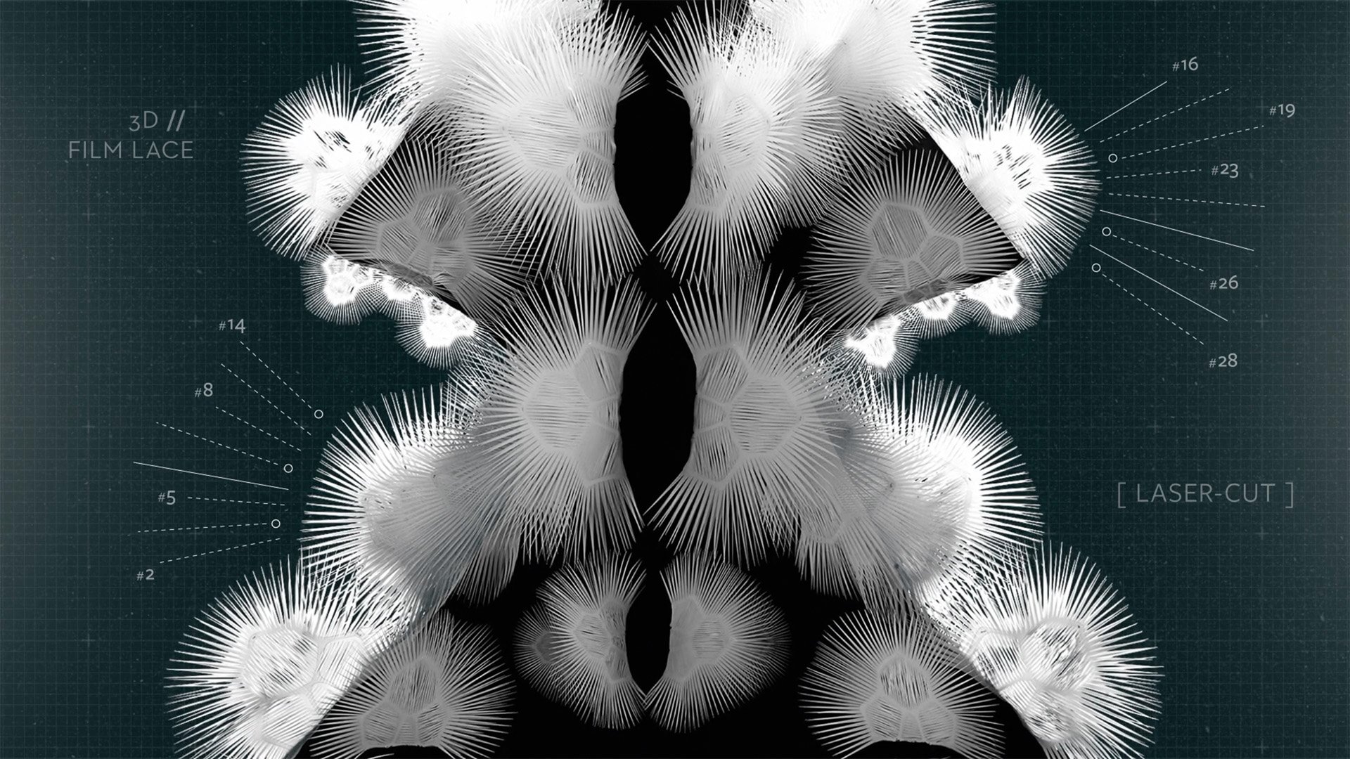 iris3